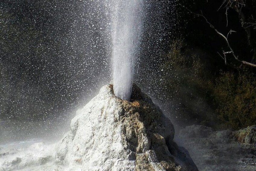 Private VIP Luxury Auckland-Rotorua Geothermal Wonderlands 5