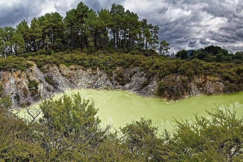 Private VIP Luxury Auckland-Rotorua Geothermal Wonderlands 4