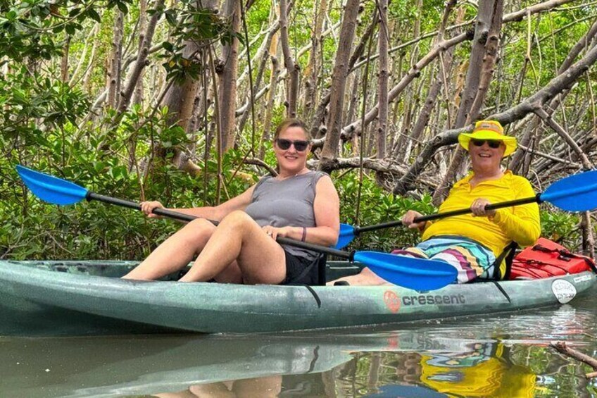Two people kayaking in a mangrove forest. 4