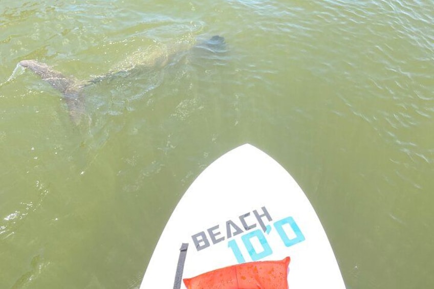 En surfbræt med teksten 'BEACH 10'0' 4