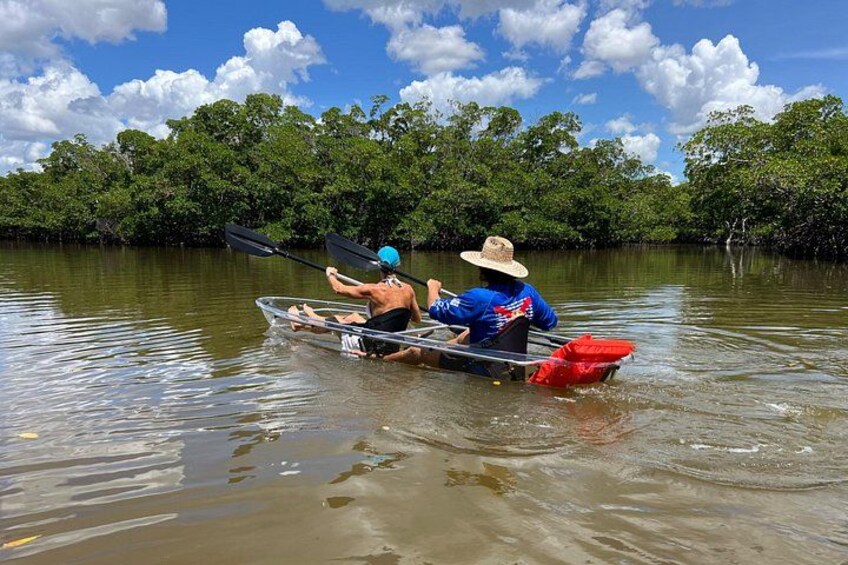 Bonita Springs Eco Kayak Tour – Best Gear, Premium&Clear Kayaks 4