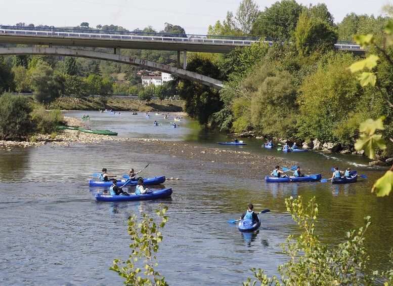 Picture 2 for Activity Cangas de Onís: Sella River Canoeing Adventure (Las Rozas) 5