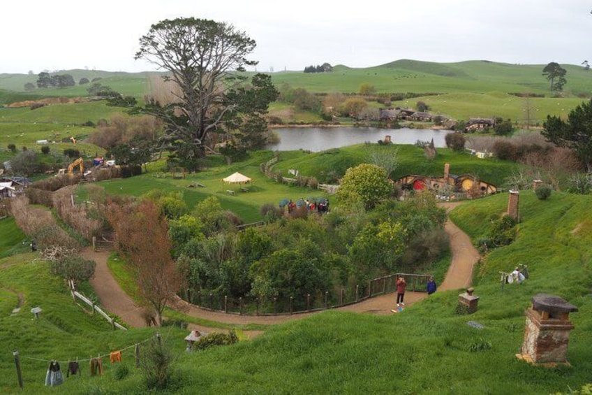 Premium Hobbiton Small Group Day Tour from Auckland 5