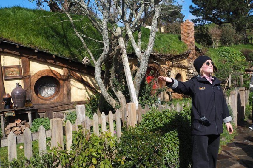 Premium Hobbiton Small Group Day Tour from Auckland 2