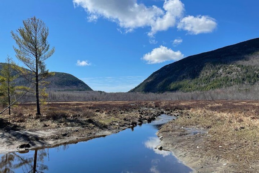 Self Guided GPS Audio Driving Tour Acadia NP From Hulls Cove VC 5