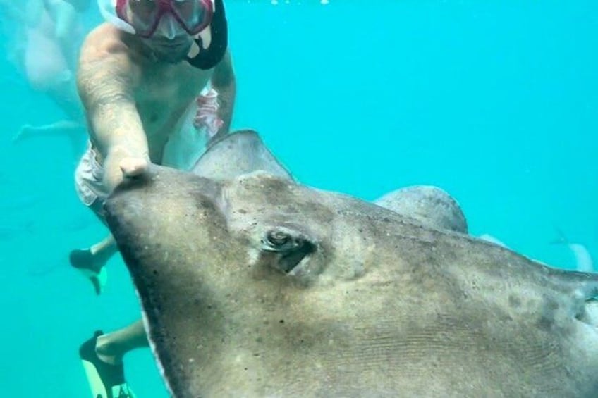 Che’s snorkel catamaran! turtles, wrecks & photos (small group) 2
