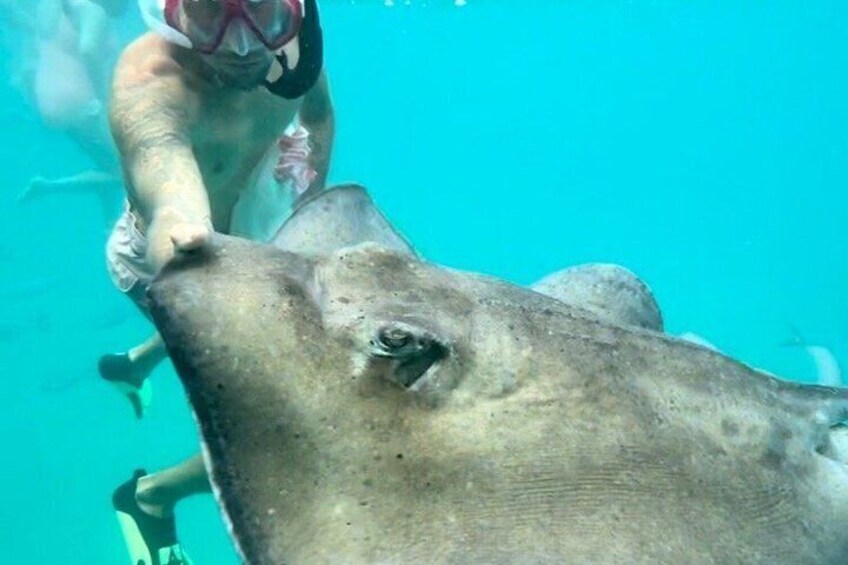 Che’s snorkel catamaran! turtles, wrecks & photos (semi private) 2