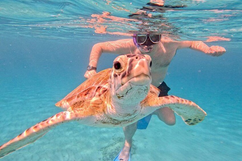 A person snorkeling with a sea turtle. 5