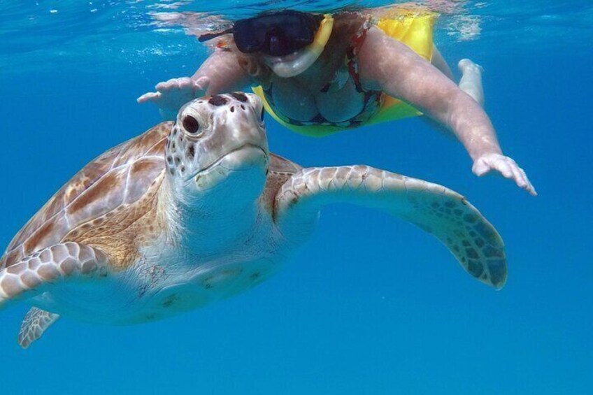 Eine Person schwimmt mit einer Meeresschildkröte. 5