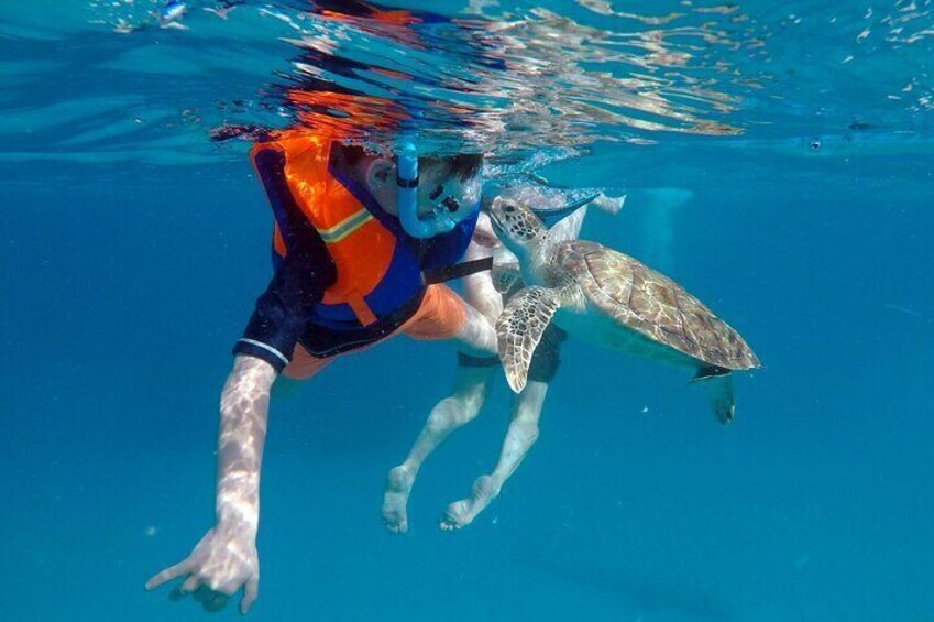 Eine Person schwimmt mit einer Meeresschildkröte. 4