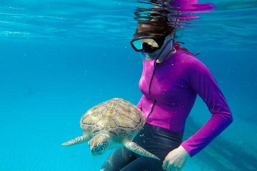 Che’s snorkel catamaran! turtles, photos & pickup (small group) 3