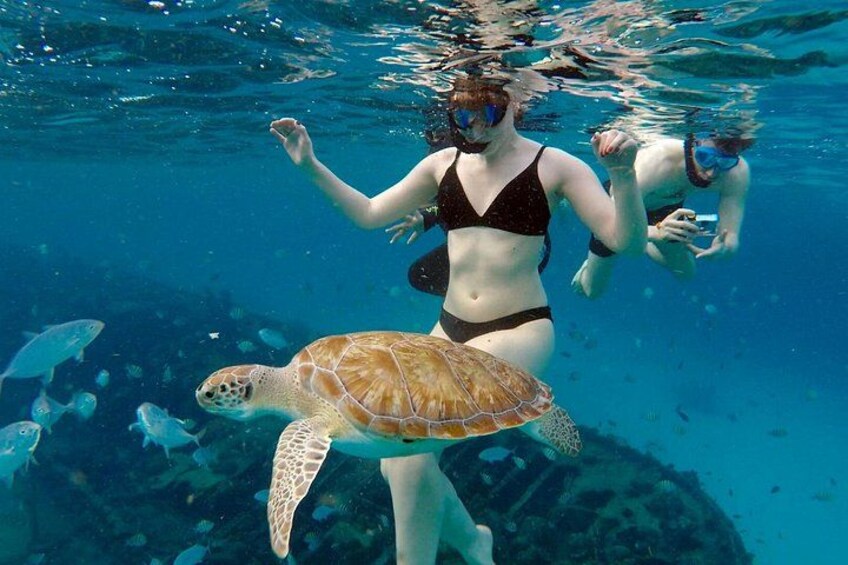 Che’s snorkel catamaran! turtles, photos & pickup (small group) 3
