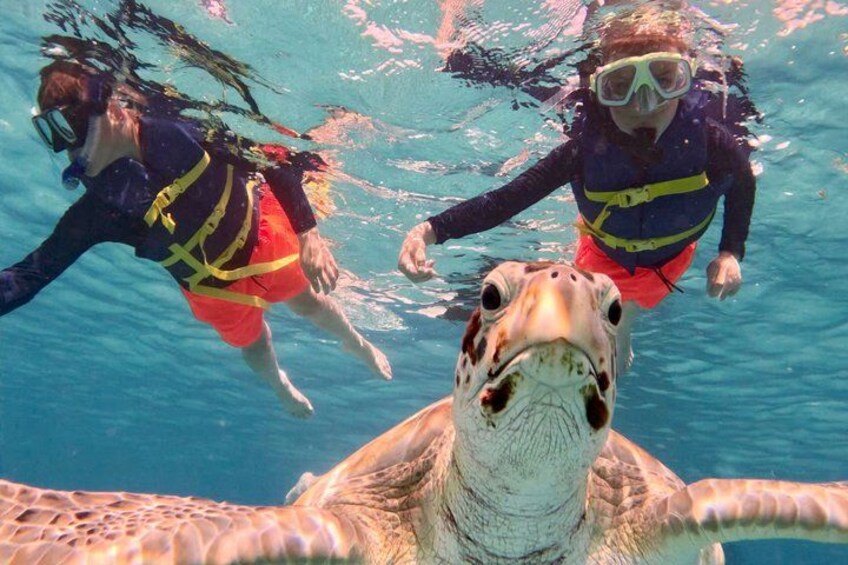 Che’s snorkel catamaran! turtles, photos & pickup (small group) 4