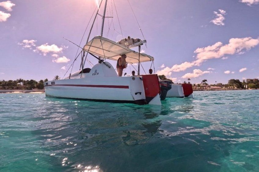 Che’s snorkel catamaran! turtles, photos & pickup (small group) 3