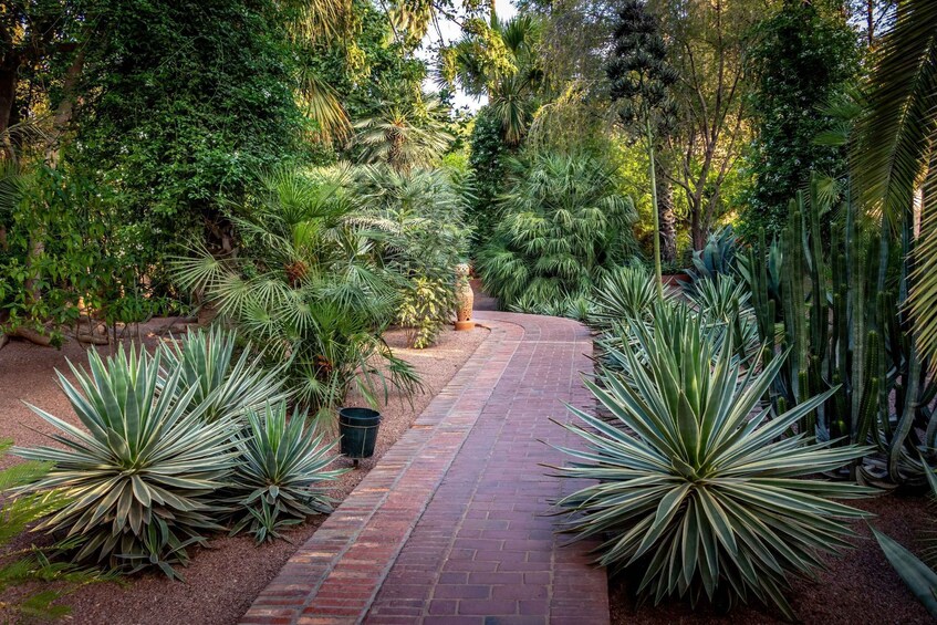 Picture 1 for Activity Marrakech: Majorelle Garden, YSL, and Berber Museum Entry 5