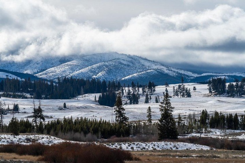 3 Day Guided Wildlife Photography Tour in Yellowstone 4