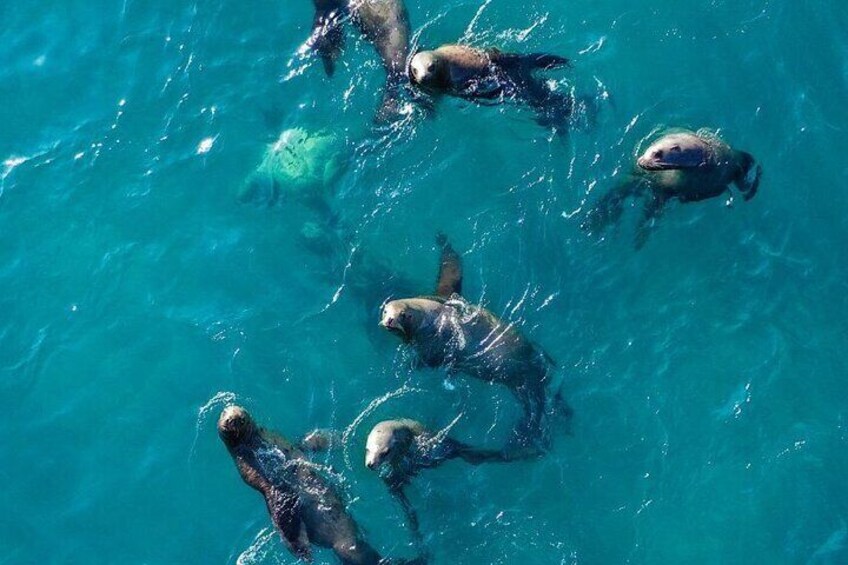 Cabo San Lucas Arch Tour and we go down to Playa del Amor