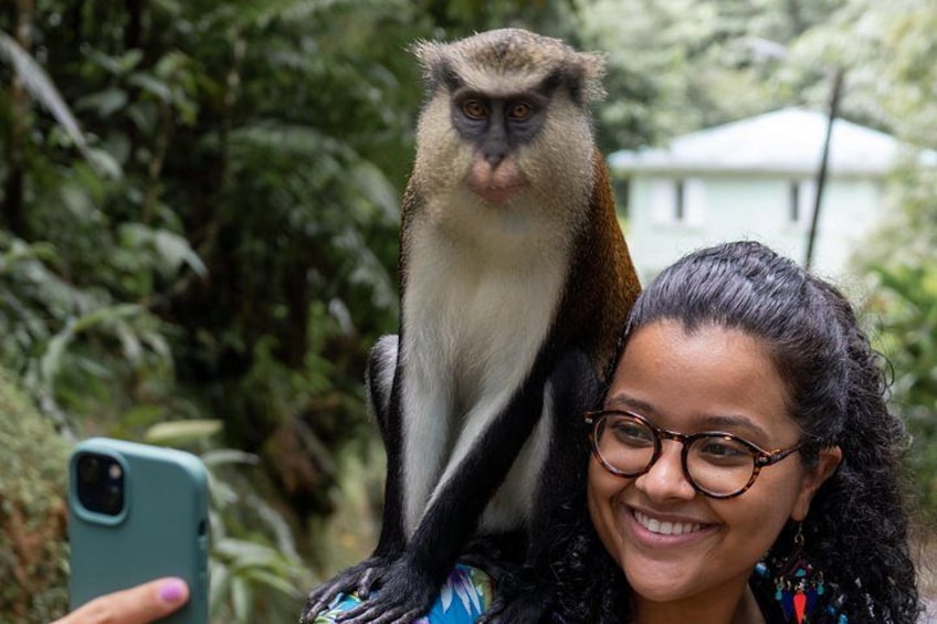 A person holding a monkey. 2