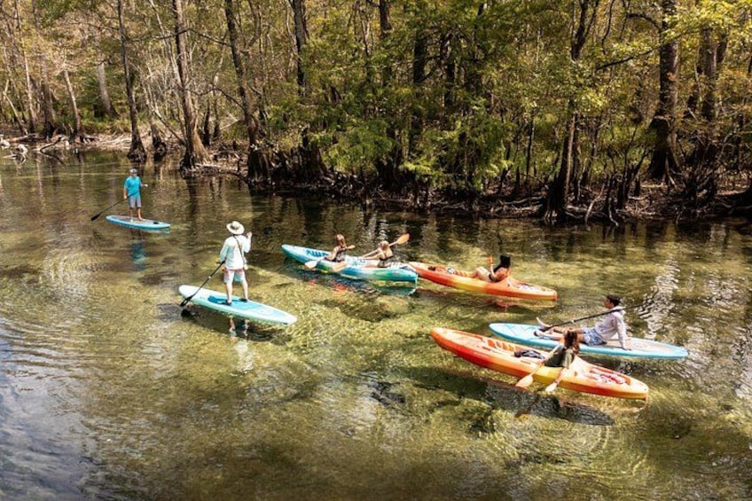Mensen staan op paddleboards op een rustige rivier, omringd door bomen. 5