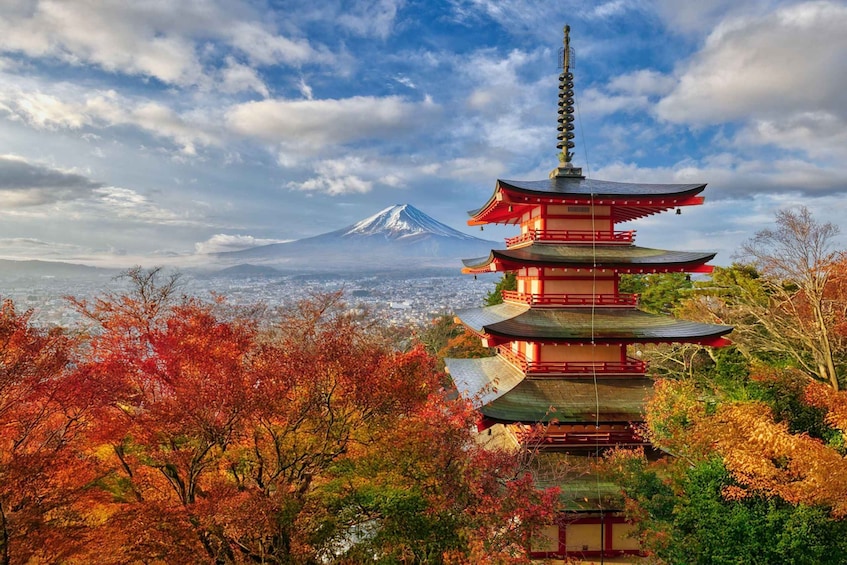 Picture 4 for Activity From Tokyo: Must-Visit Mount Fuji Highlight Full-Day Tour 4