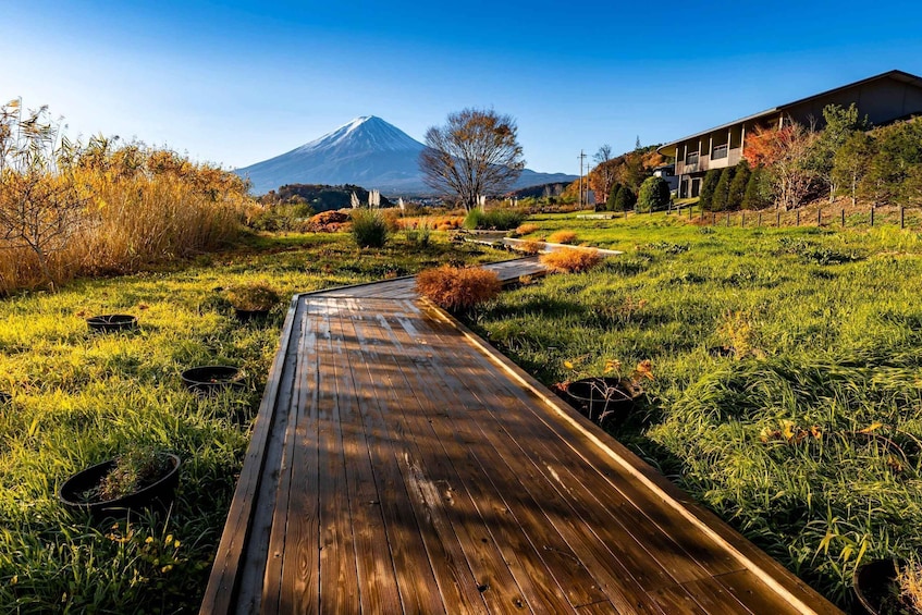 Picture 9 for Activity From Tokyo: Must-Visit Mount Fuji Highlight Full-Day Tour 5