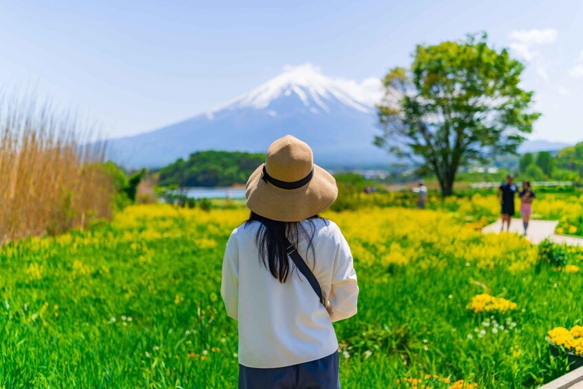 A person in a white shirt and straw hat standing in a field with a mountain in the background. 4