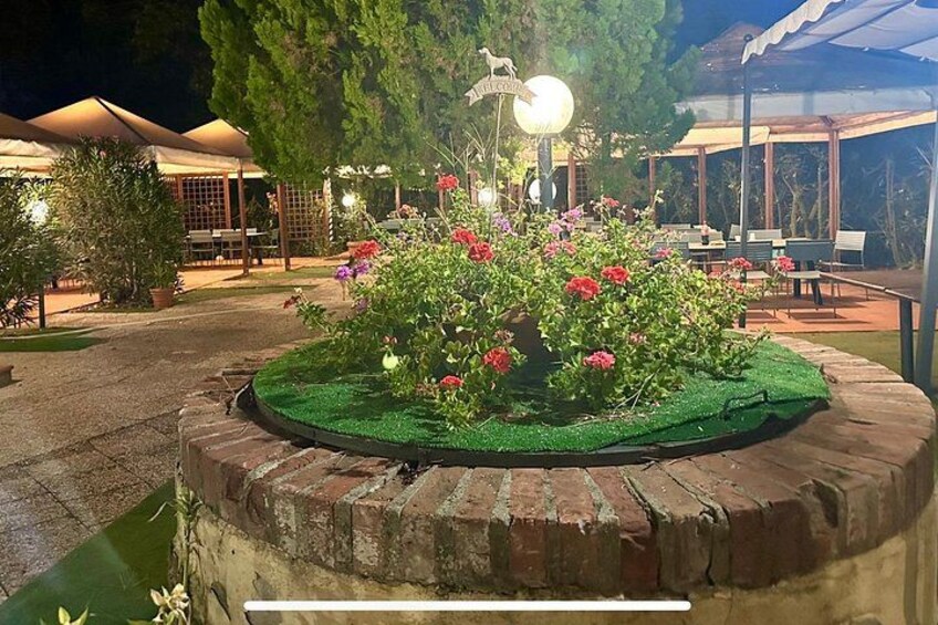 the garden 2