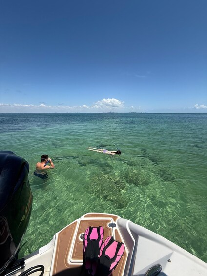 A person snorkeling in clear blue water, a boat with pink fins, and a distant city skyline. 5