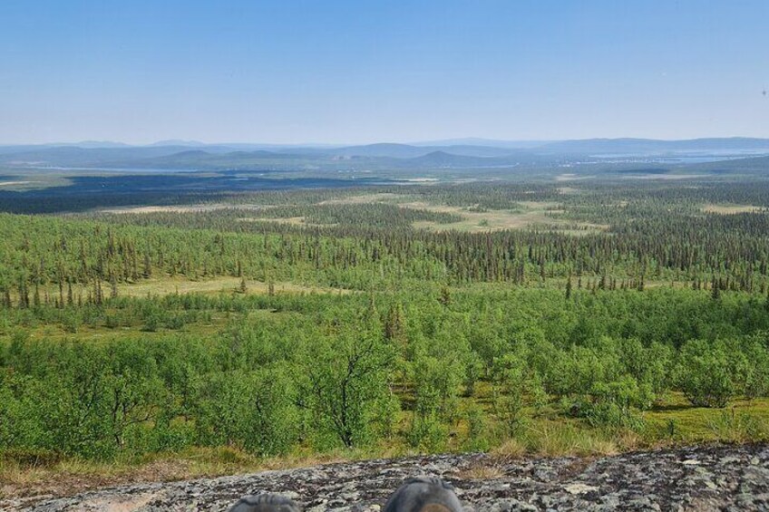 A vast forested landscape with a clear sky. 5