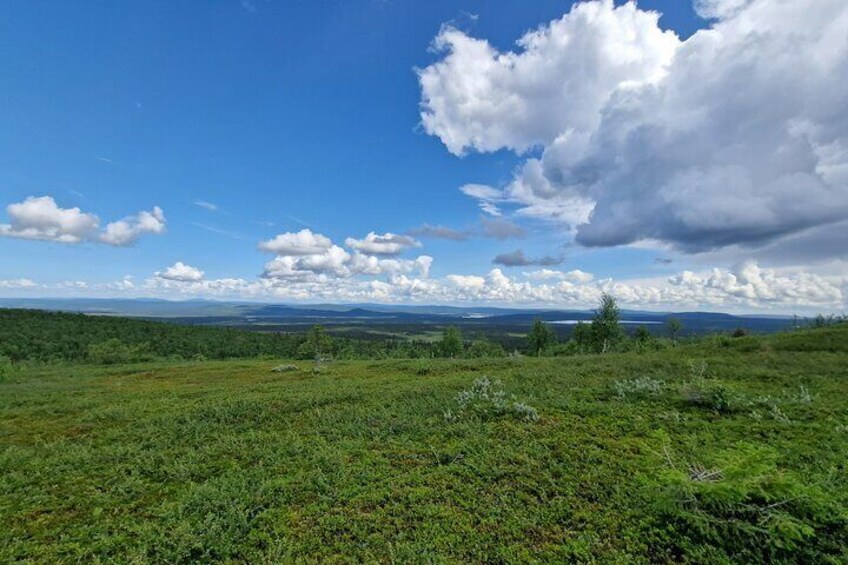 A grassy field with a clear sky and distant mountains. 4