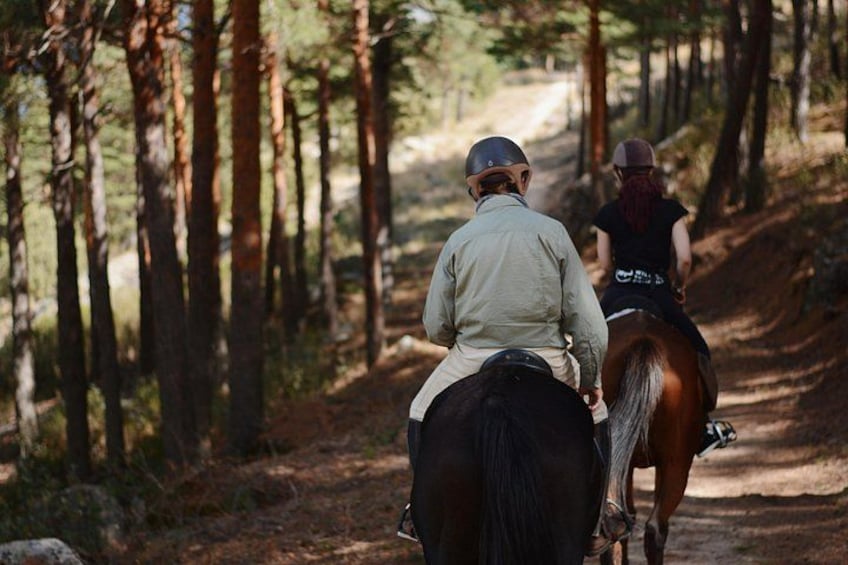 Two people riding horses on a forest trail. 1