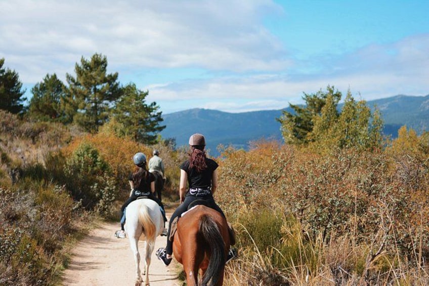 Three people riding horses on a dirt path surrounded by trees and mountains. 5