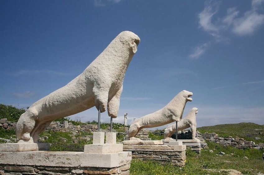 Lion Terrace 1