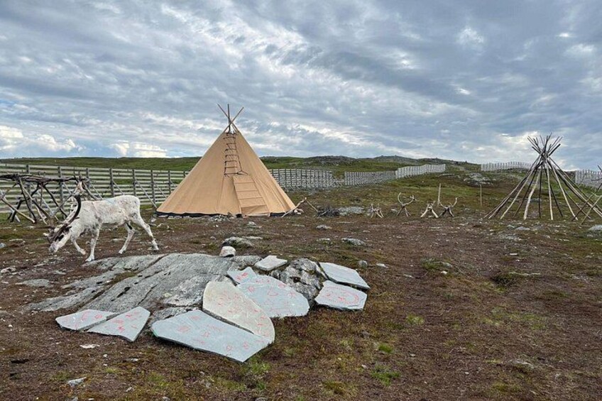 A traditional teepee, a white horse, and a rocky terrain with a fence in the background. 4