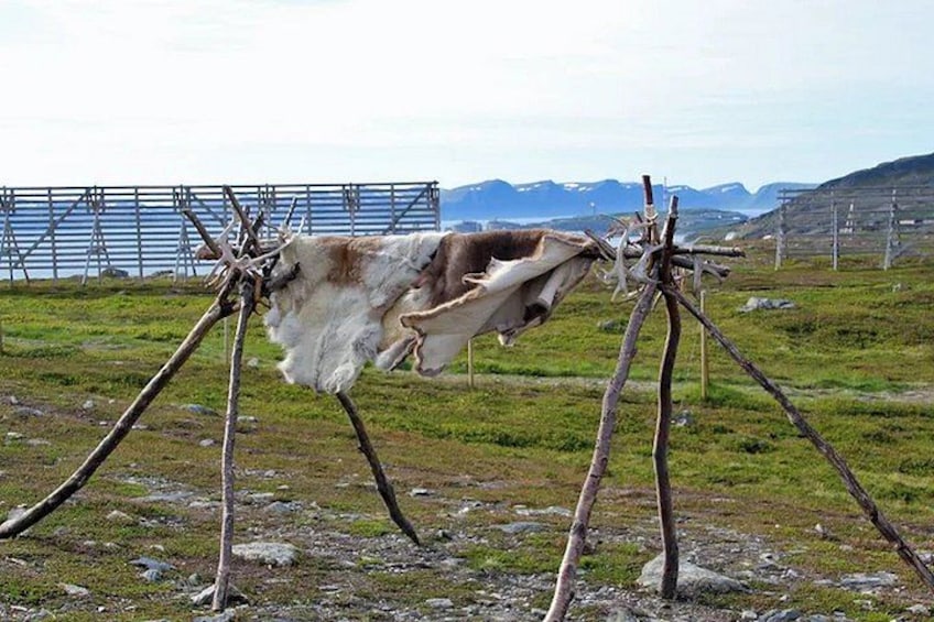 A cow tied to a wooden structure in a grassy field with mountains in the background. 2