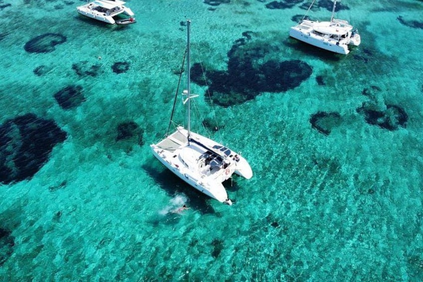 Magdalene Archipelago Tour from Cannigione - Comfort 2 Catamaran 5