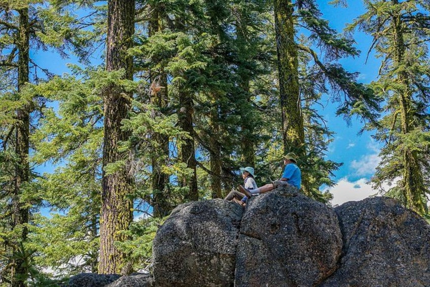 Half Day Tour to Faery Waterfalls, Castle Lake and Mount Shasta 3