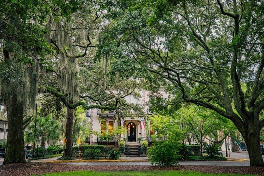 Savannah Historical Guided Open-Air Minibus Cruiser- Free Parking 3