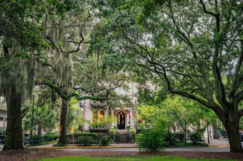 Savannah Historical Guided Small Group Open-Air Minibus Tour 5