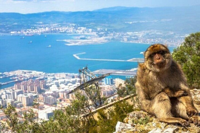 Gibraltar Private Tour 1