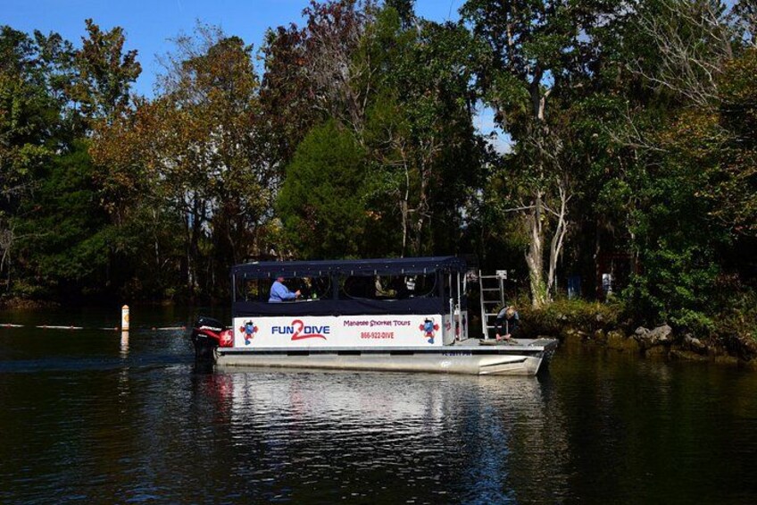 Manatee Snorkel Small Group Tour 4