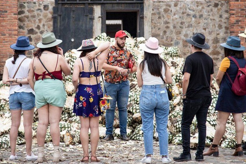 Group Tour to Tequila Jalisco Pueblo Mágico 3