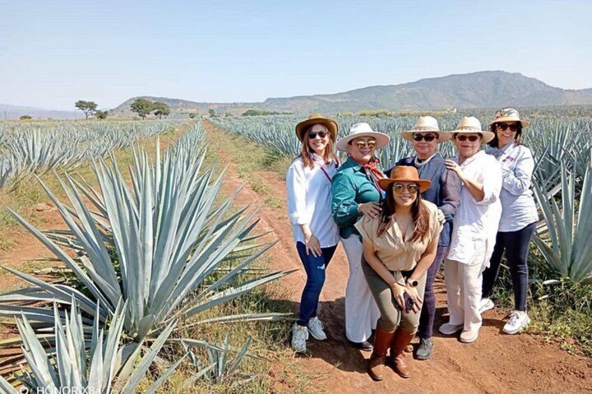 Un groupe de personnes se tient dans un champ de plantes d'agave, avec un paysage montagneux en arrière-plan. 1