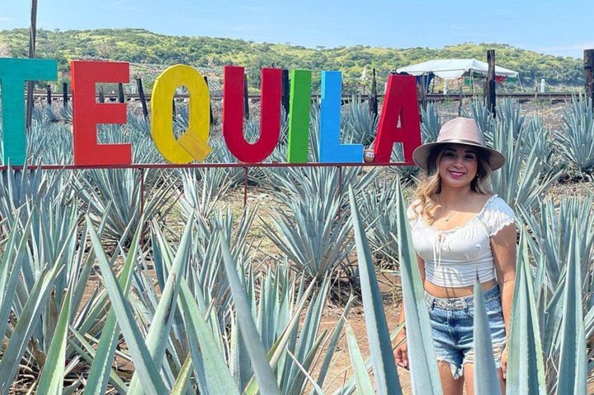 Group Tour to Tequila Jalisco Pueblo Mágico 2