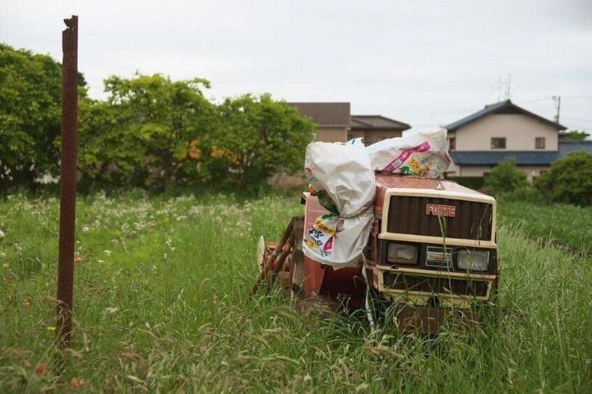 Taichung:Classic Landmarks & Gaomei Wetlands Day Trip from Taipei 5