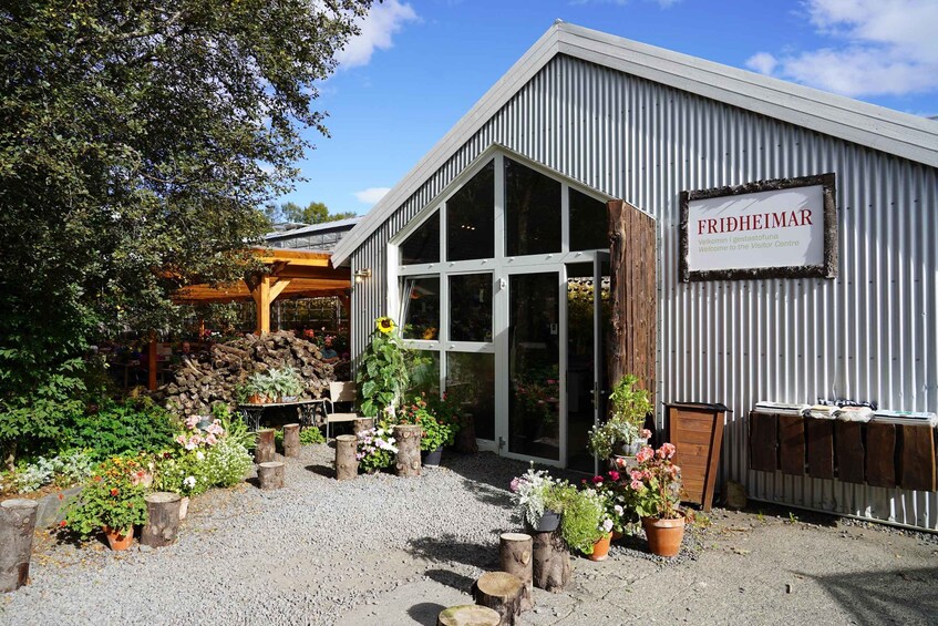 Picture 12 for Activity Golden Circle & Lunch at Fridheimar Tomato Farm- with photos 2