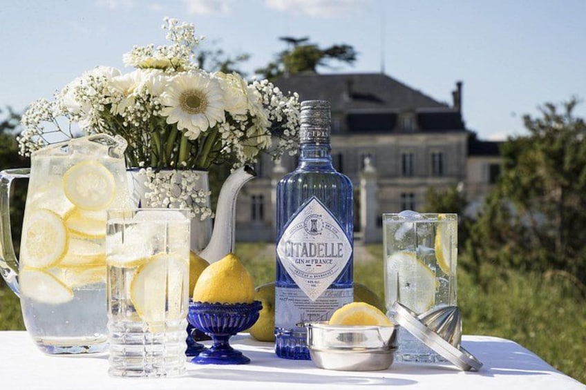 Une table avec une bouteille de gin Tadelie, un pichet rempli de rondelles de citron, un vase avec des fleurs et un verre contenant des glaçons et des rondelles de citron. 2