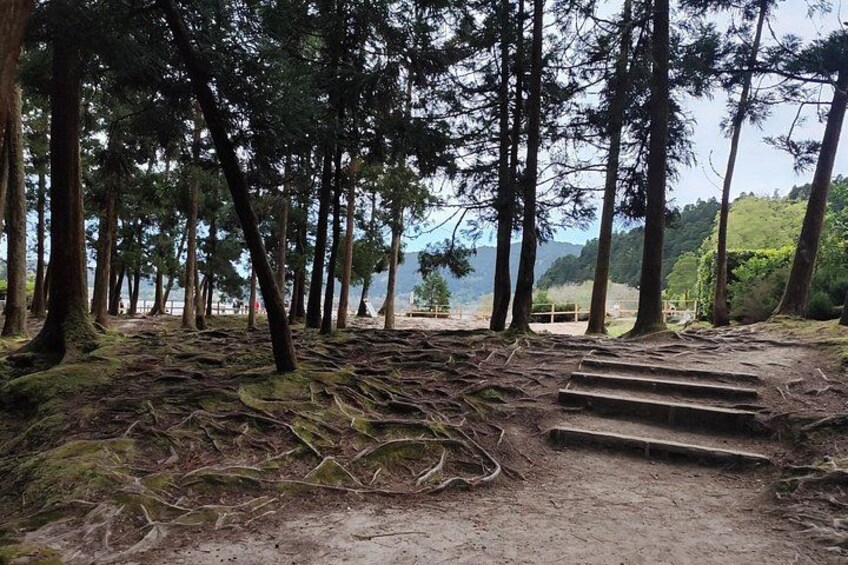 A forested area with a dirt path leading to a viewing platform overlooking a body of water. 2