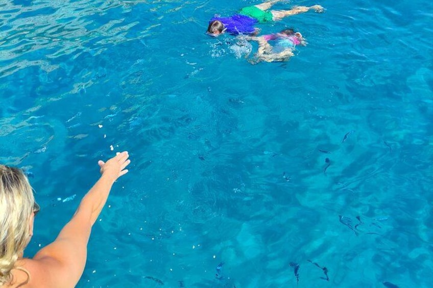 Une personne nage dans une piscine, et une autre personne tend la main vers elle. 2