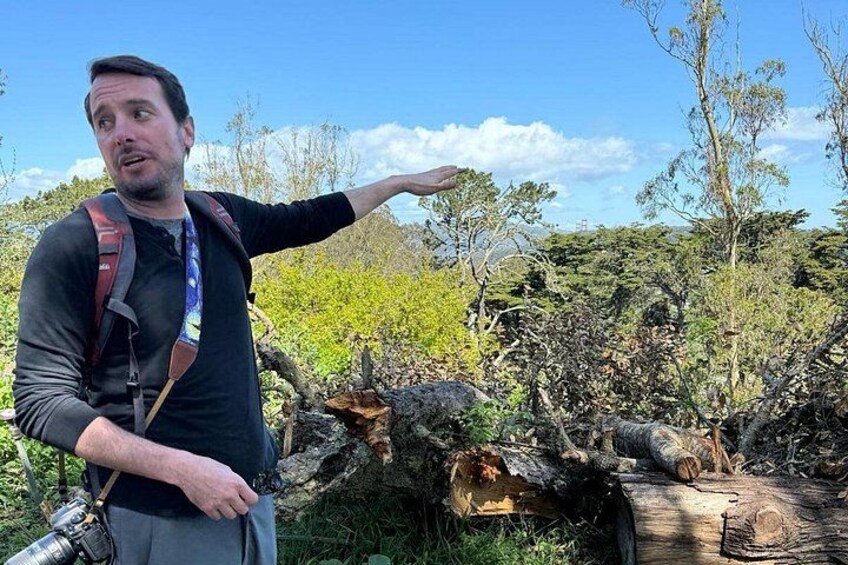 Eine Person steht im Freien mit Rucksack und deutet auf einen umgestürzten Baum in einer natürlichen Umgebung. 4